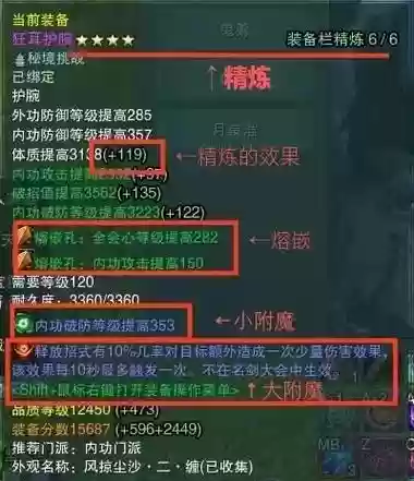 剑网三拍装备什么意思插图