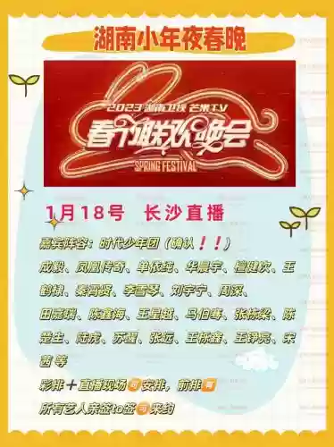 湖南小年阵容插图