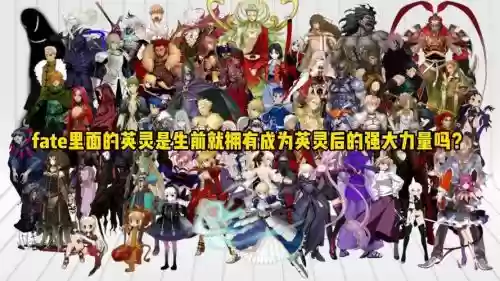 fate推荐阵容插图