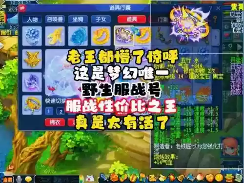 梦幻西游灵岩山服战号插图1