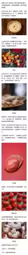 最-迳漳蕴粽饺-攻略13关插图