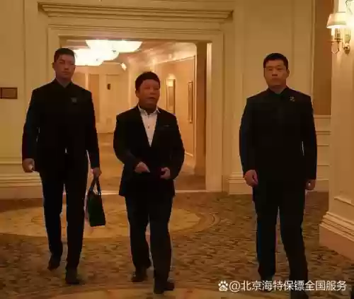 律师保镖阵容插图1