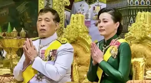 泰奶奶阵容插图1