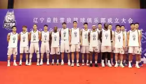 辽宁哈德森阵容插图