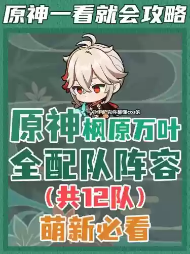 枫搭配阵容插图