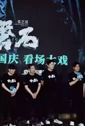 豪华主演阵容插图1