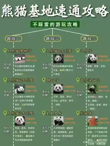 绿外小熊猫塔攻略插图