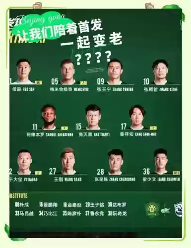 国安阵容缺陷插图1