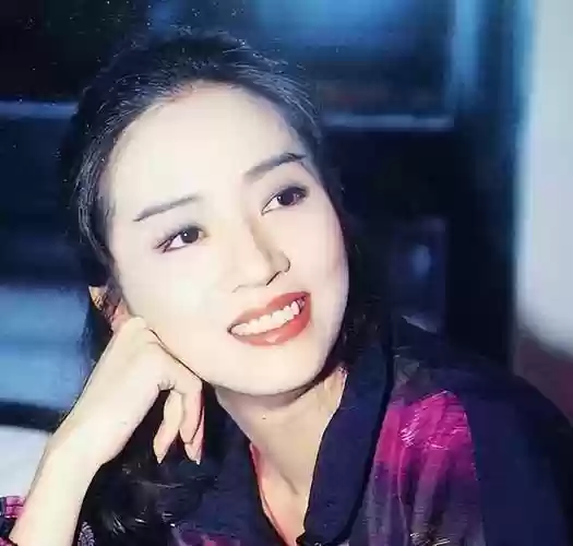 阵容纪念梅艳芳_1插图