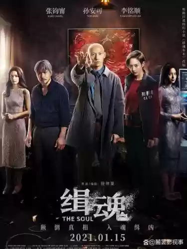 缉魂阵容插图