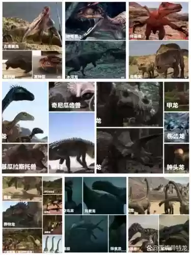 恐龙boss阵容插图1