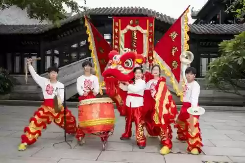 传统醒狮阵容插图