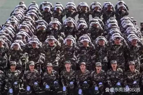 国防兵阵容插图1