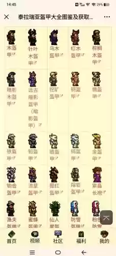 泰拉瑞亚染色装备插图