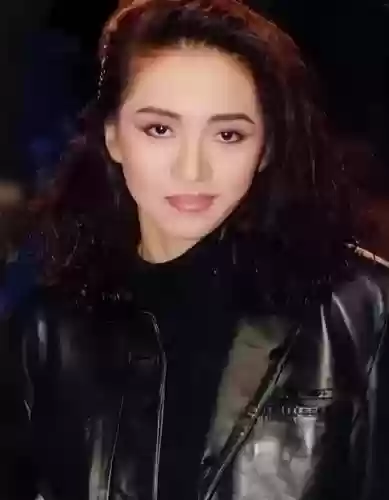 阵容纪念梅艳芳_1插图1