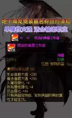 dnf宠物装备jixian插图1