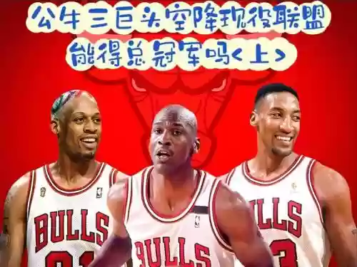 今年公牛阵容插图