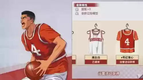 集训赤木阵容插图1