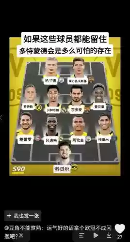 多特蒙德1516阵容插图1