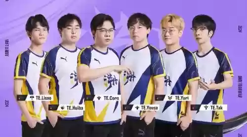 te常用阵容插图