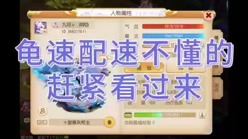 梦幻西游手游龟速血宝宝怎么加点插图
