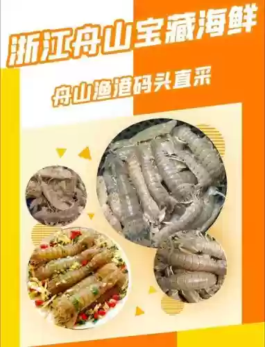 皮皮虾旅游攻略_1插图1