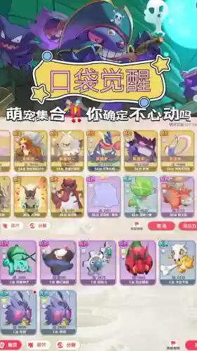 口袋觉醒中氪最强阵容搭配插图