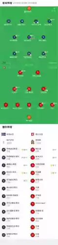 冰岛瑞士阵容_1插图