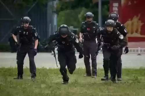 防暴特警阵容插图1