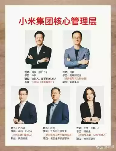 小米最强阵容插图