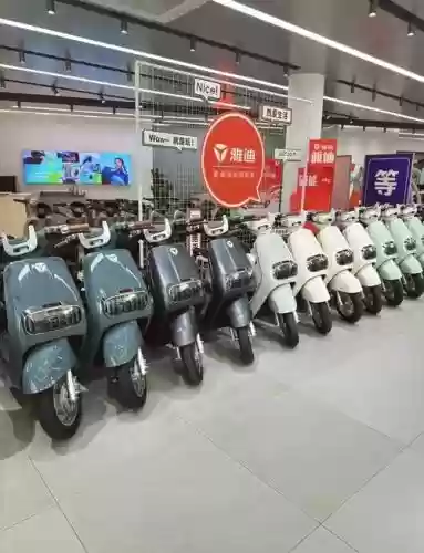 阵容雅迪插图