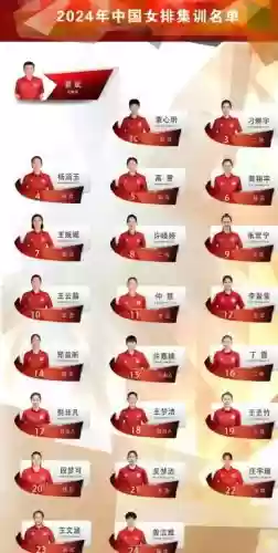 女排阵容主力_1插图