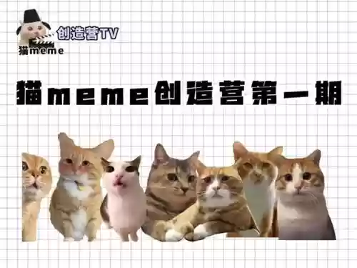 猫咪阵容站位插图1