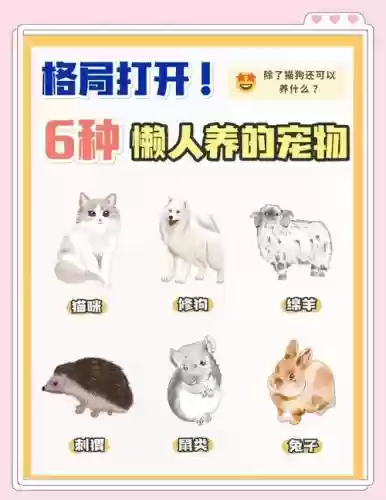 和野生宠攻略_1插图1