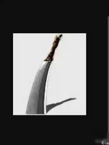 黑暗之魂1重制版武器插图1