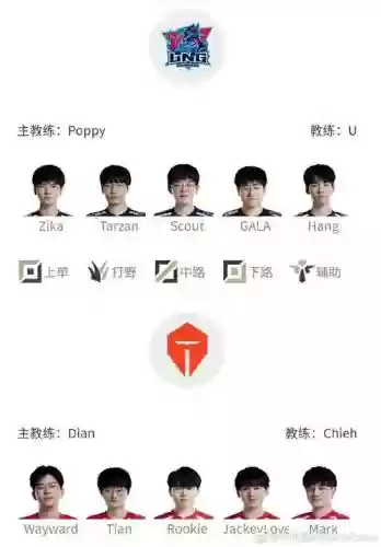 tes阵容实力插图1