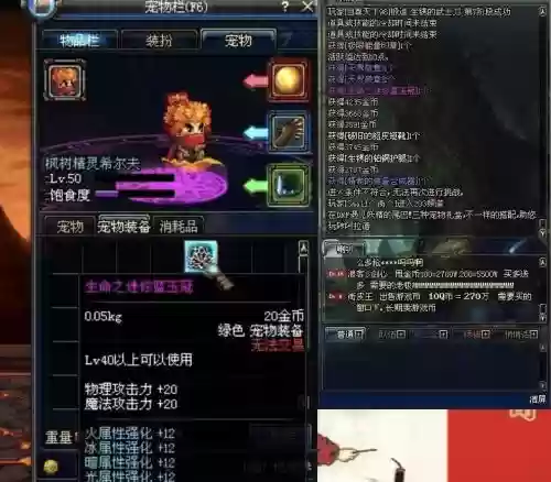 dnf宠物装备jixian插图