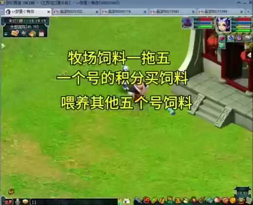 梦幻西游牧场怎么放回插图1