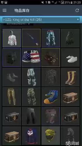 h1z1装备穿不上插图