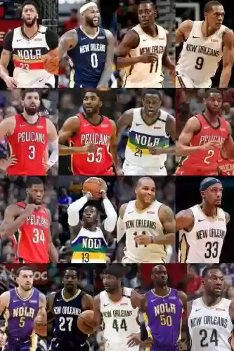 鹈鹕阵容2018插图