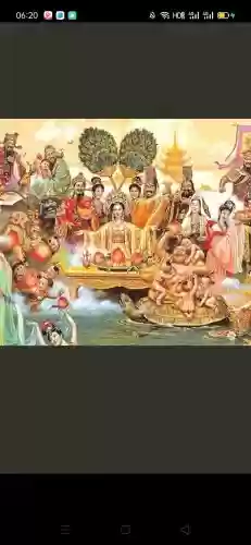 仙娘阵容插图1