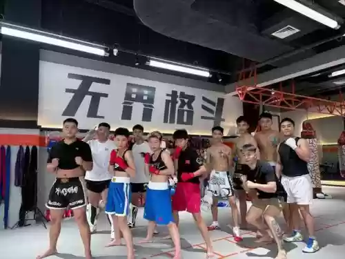 拳套格斗阵容插图1