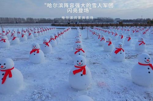 雪人最强阵容插图1