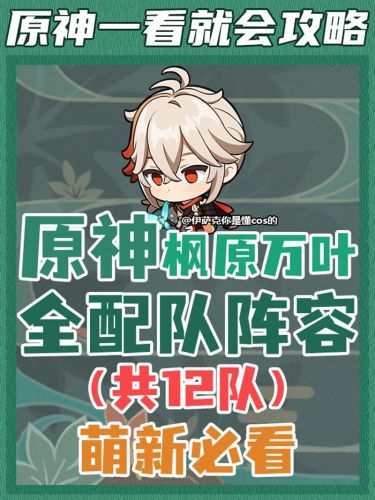枫搭配什么阵容插图
