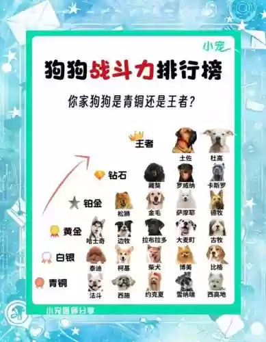 最强猛犬阵容插图