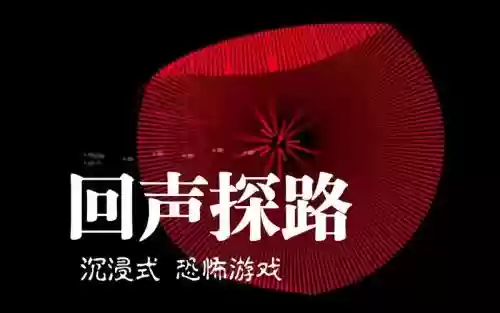 回声探路攻略下载插图