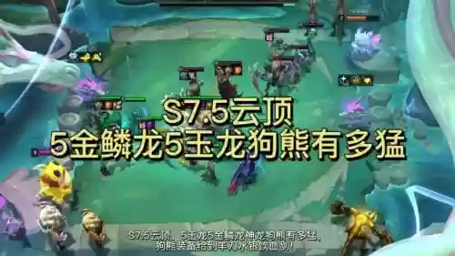 狗熊阵容7.5插图1