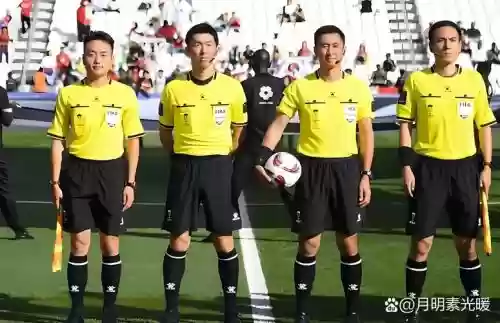 裁判阵容图片插图