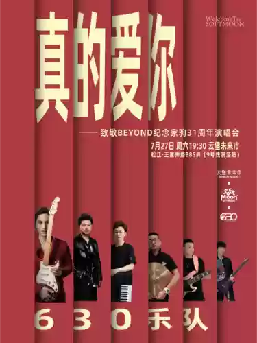 真的爱你演唱会阵容搭配插图
