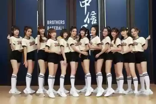 台湾球队阵容插图1